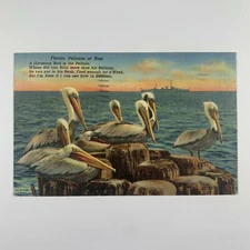 Postcard Florida FL Pelicans Pier 1944 Posted Linen Palm Beach
