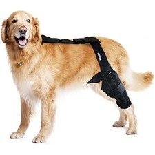 Dog Knee Brace for Torn ACL  Hind Leg Support   Adjustable Dog Hip  Leg Brace