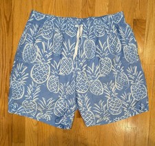 Chubbies Swim Trunks XL Blue White Pineapples Thigh Napples Faded Mesh Lined 7  