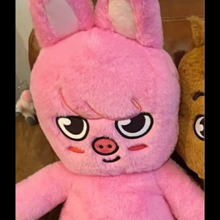 SKZOO オリジナルサイズ　DWAEKKI トェッキ Stray Kids SKZOO OFFICIAL Plush doll Mini Size Changbin