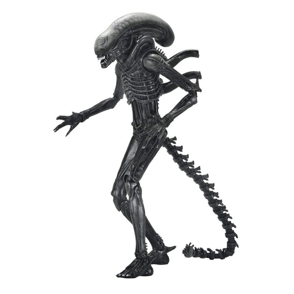 Alien Romulus Actionfigur Ultimate Xenomorph XX121 18 Cm Neca Figur-image