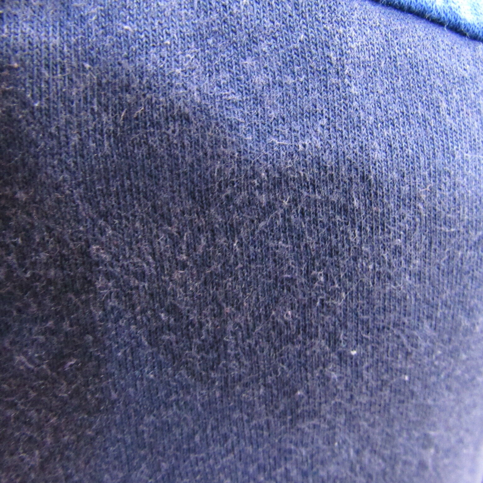 Picture 19 of 19