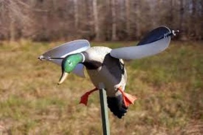 Spinning wing plastic duck decoys used