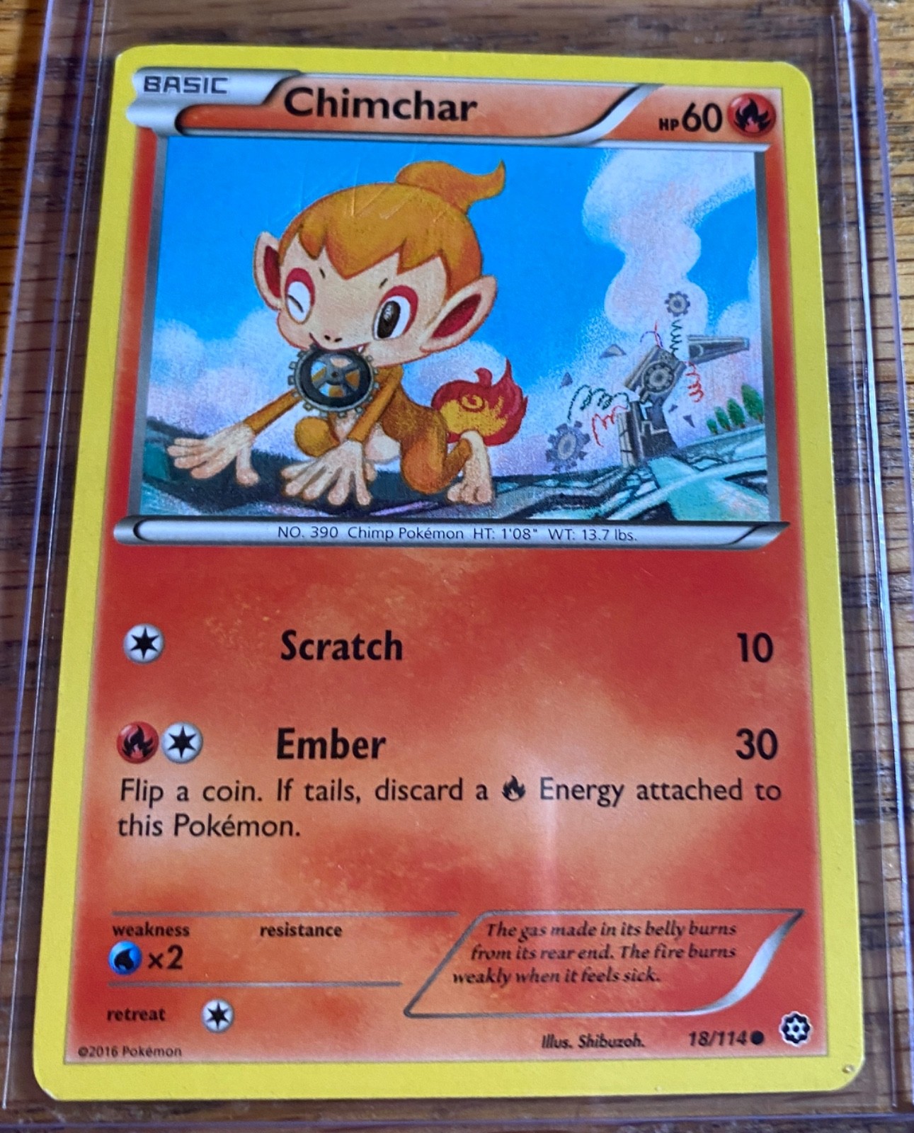 Chimchar 18/114 Common - Pokemon XY Steam Siege Card