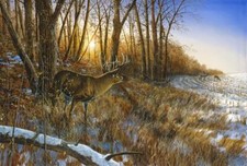 Ceramic Backsplash Tile Mural Deer Elk Kitchen/Bathroom - Passing The Buck