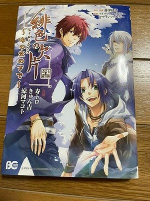 Hiiro no Kakera Under the Same Sky Manga (B's-LOG COMICS)
