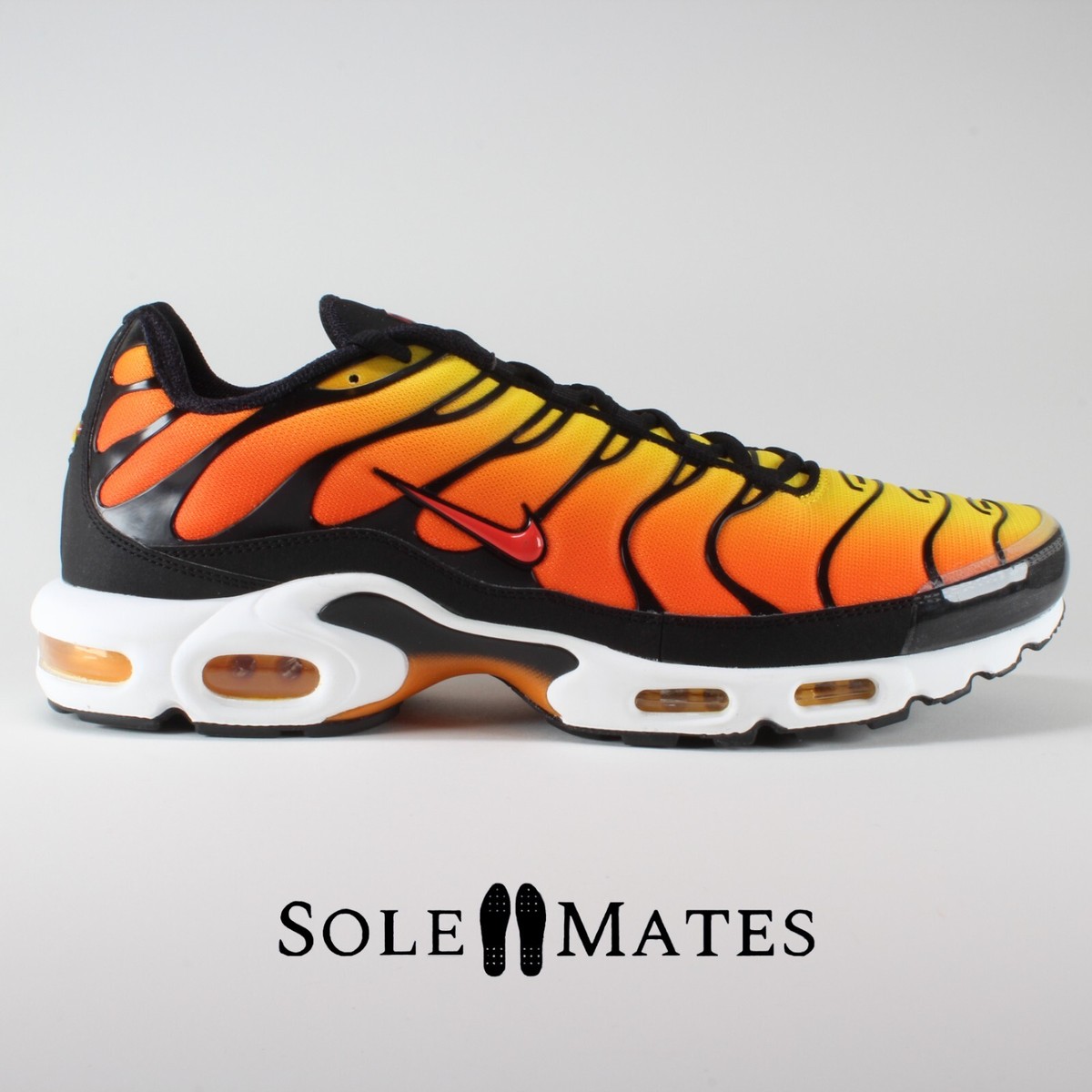 nike tns size 15