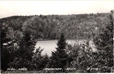 Teal Lake Negaunee MI RPPC Real Photo Postcard 1930s-40s