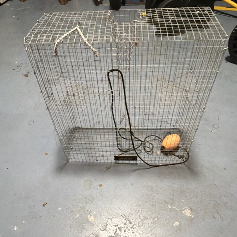 Rob's Reel Baits Live Trap Metal Silver Wire Cage with Float & Trap Mechanism FL