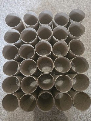 Lot of 30 Cardboard Tubes Toilet Paper Rolls Empty Craft Art DIY School Supplies