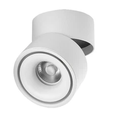 LED COB Ceiling Lamp Dimmable/N Picture Light Fixture Adjustable Downlight Foyer