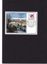 Cartolina illustrata Austria "Campionato mondiale di sci '82 Schladming"27.01.82 primo giorno"