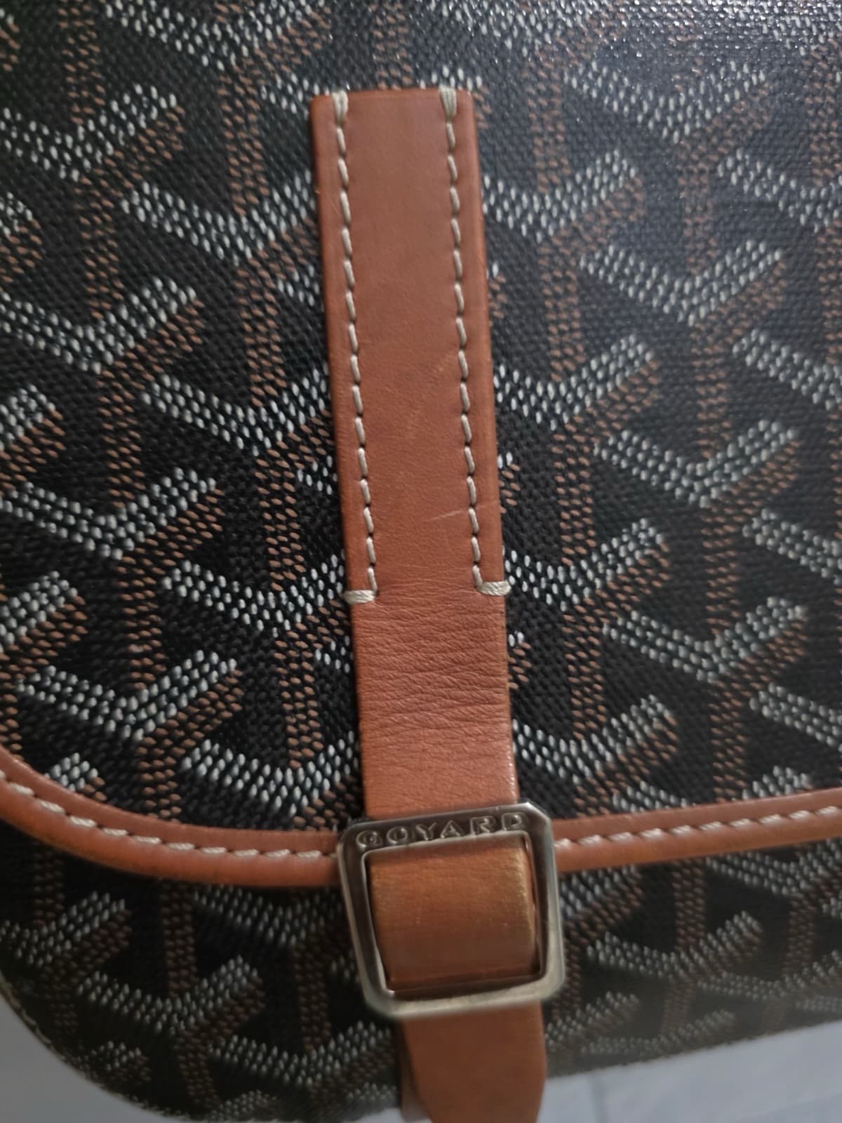 Goyard Belvedere Messenger Bag Coated Canvas MM image 3