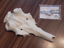 Rothirsch Kunstsch&auml;del Alu Sch&auml;del Hirsch 40mm