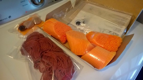 Vintage Latch Hook loop Craft Puppet Pals Kit Leroy The Lion yarn Google eyes - 第 2/7 張圖片