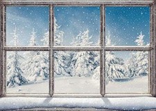 Winter Backdrop Forest Winter Window Backdrop Winter Wonderland Backdrop