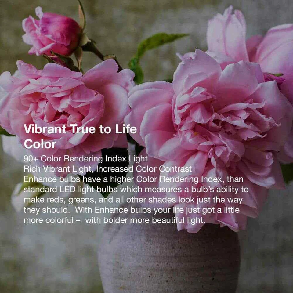 Feit Electric A19 Dimmable Indoor/Outdoor LED Light Bulb Daylight (12-Pack) - Image 4 of 4