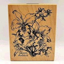 ORCHID BOTANICAL PSX Designs Rubber Stamp K-1441 Tropical Flower Hawaii d999