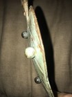 Bild 4 von 7