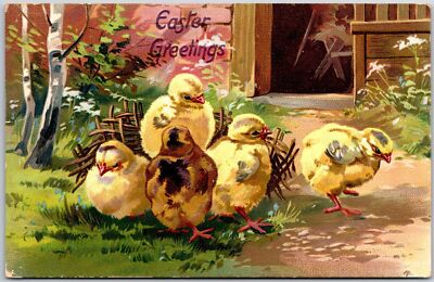 1908 Easter Greetings Chicks On The Grassy Lawn Posted Postcard