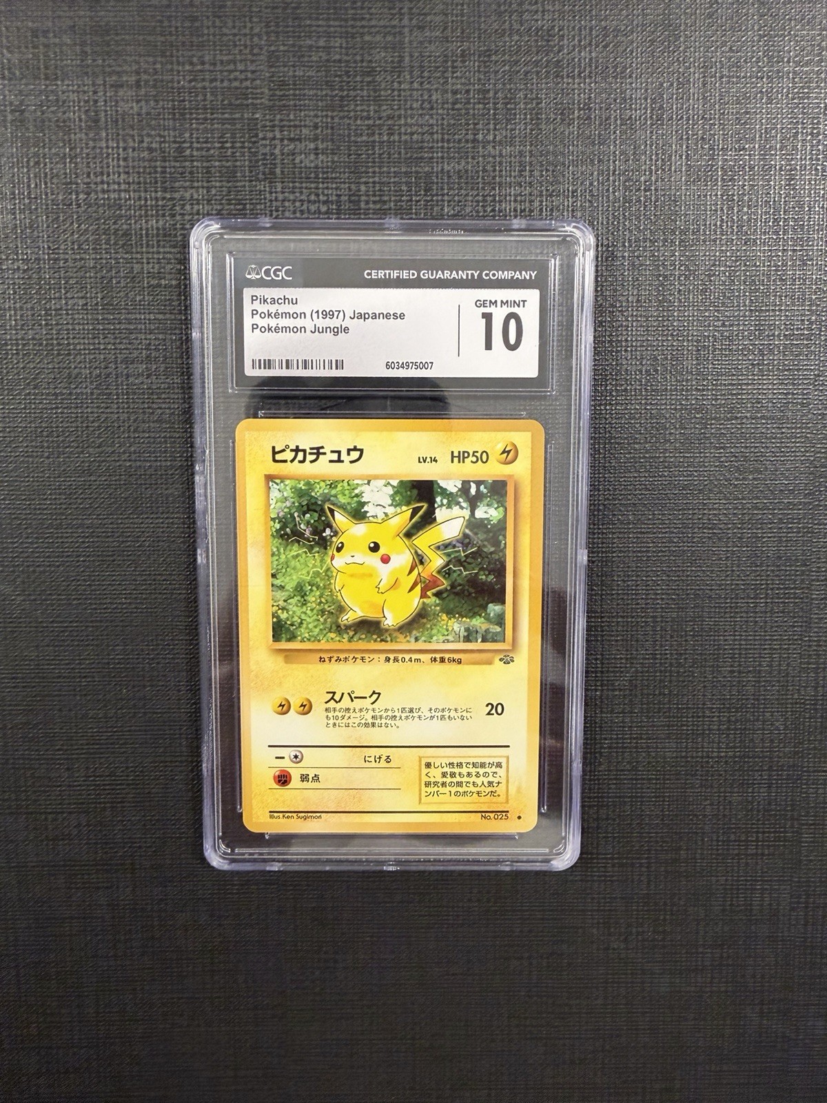 Pikachu Pokemon Jungle Regular (Japanese)