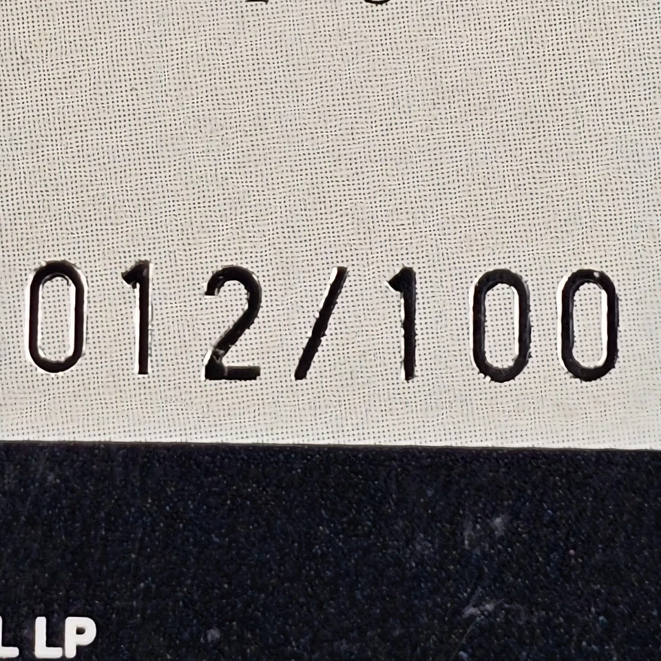 De colección Hedo Turkoglu Numerado #/100 2003-04 NBA Fleer Skybox Platinum NBA #109 Foto 2 de 3