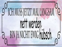 Blechschild 30X40 Cm Ich Muss Mal Langsam Nett Werden Deko Deko Geschenk Schild