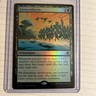 Terrasymbiosis Edge of Eternities (Foil)