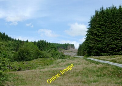 Photo 6x4 Cwm Nant-y-Fedw, Powys Abergwesyn Extensive felling is in progr c2014