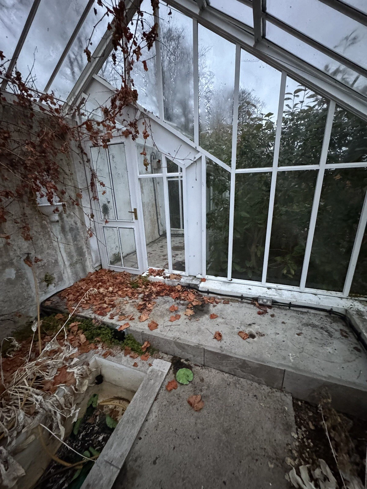 Picture 5 of 9