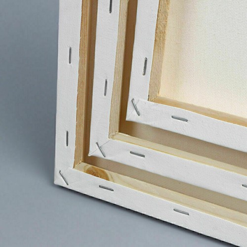 Canvas Frame for Acrylic Oil Painting Watercolor Board DIY Blank Framed Plate - Picture 45 of 79