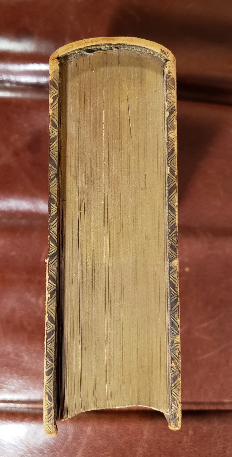Foto 6 di 24