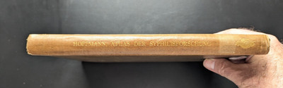 1908 Hoffmann Atlas Syphilis Research   Springer Berlin German Plates Uncommon