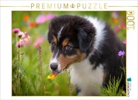 Calvendo Puzzle An Australian Shepherd Puppy Licks A Flower | 1000 Pieces, Finis