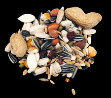 Papageienfutter TOP 5 kg Vogelfutter Samenmischung Premiumfutter Papagei Ara