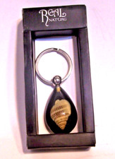 Real Conch Sea Shell Key Chain FOB Jewelry Encased in Plastic - New Vintage