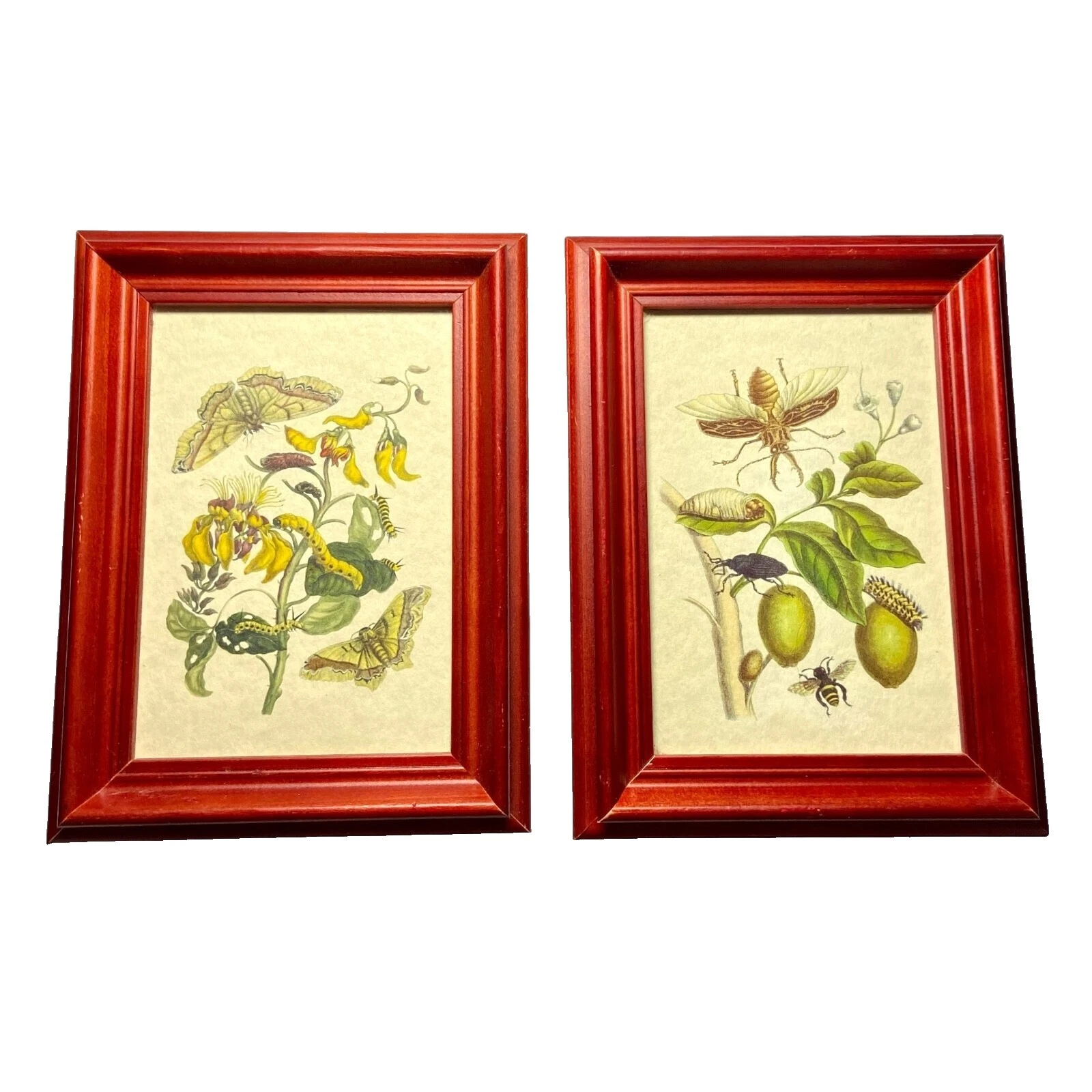 Handmade Botanical Home Décor Posters & Prints