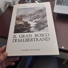 il gran bosco di salbertrand camusso vaschetto 192