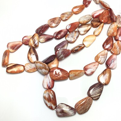 Natural Spiny Oyster Shell Graduated Freeform Nugget Bead