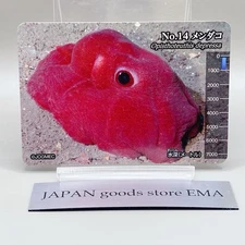 Mendako No.14  Wafer Card Deep Sea Creatures Japanese Japan Meiji Rare F/S
