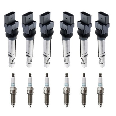 Eldor 6 Ignition Coils Denso Iridium Spark Plugs Kit for Q7 Cayenne Touareg 3.6L