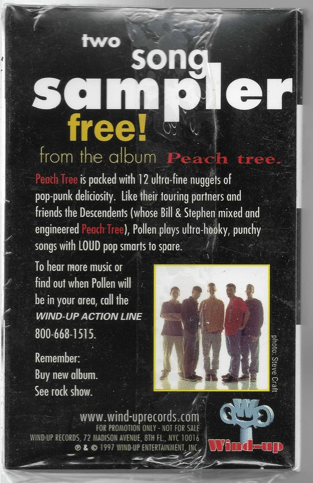 Tiny Shoes, A Clear Complexion [Promo] * by Pollen. (Cassette, 1997, Wind-Up) - Image 2 of 2