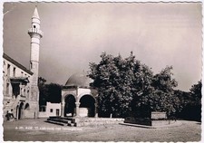Postcard RPPC The Platane Plane Tree Of Hippocrates Kos Greece