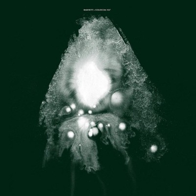 Barnett & Coloccia VLF (Vinyl)