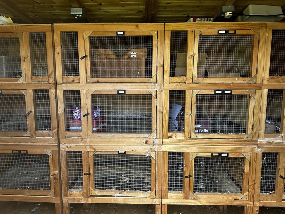 Hand Made Rabbit Hutches eBay