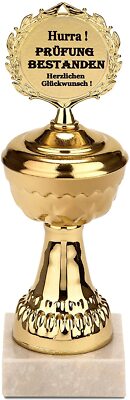 Goldener Pokal Prüfung Bestanden Geschenk zum Abschluss Abi Examen Diplom 21 cm