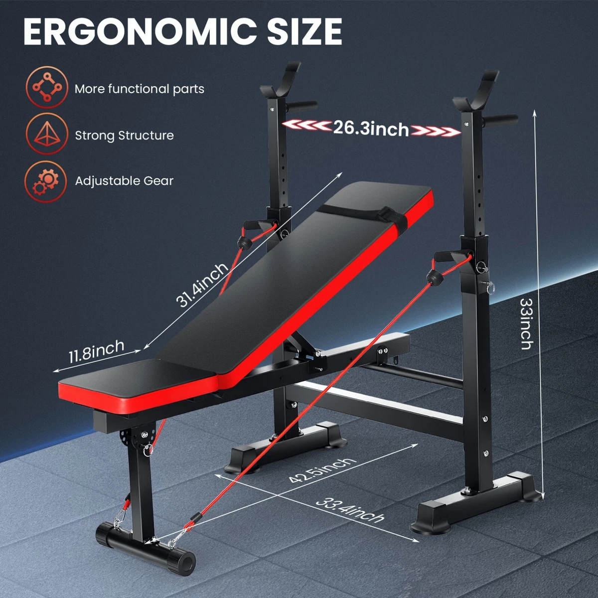 Body gear bench new arrivals