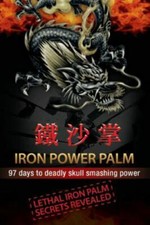 Iron Power Palm: 97 days to skull smashing power, Thomas, Mr Gareth Morgan,