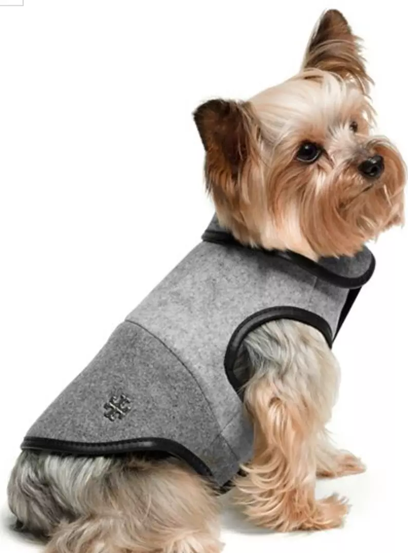 Tory burch dog best sale sweater