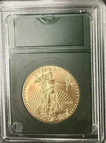 2020 American Eagle One Ounce Gold Uncirculated Coin BU 1 oz Gold Coin $50